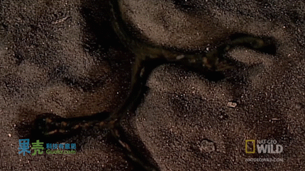 ▲图片来源：果壳