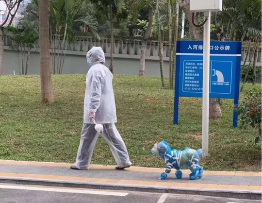 网约车装塑料隔膜防飞沫 医生:合理可行