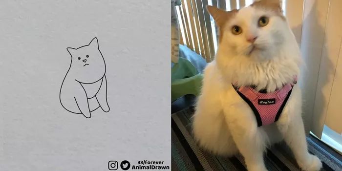 ins热传的沙雕动物简笔画神还原