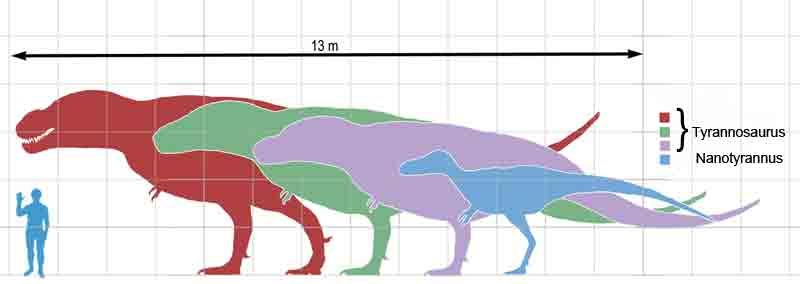霸王龙见到矮暴龙会说什么我是你爸爸
