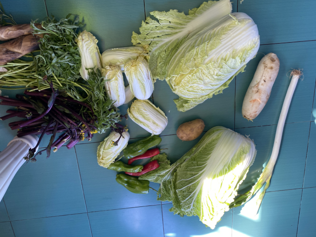 全国版“健康码”的中国速度是怎么跑出来的？