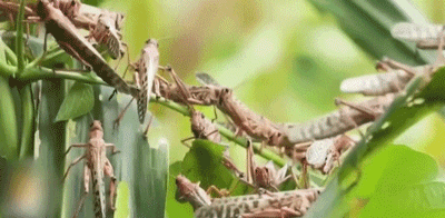 400_196gif 动态图 动图