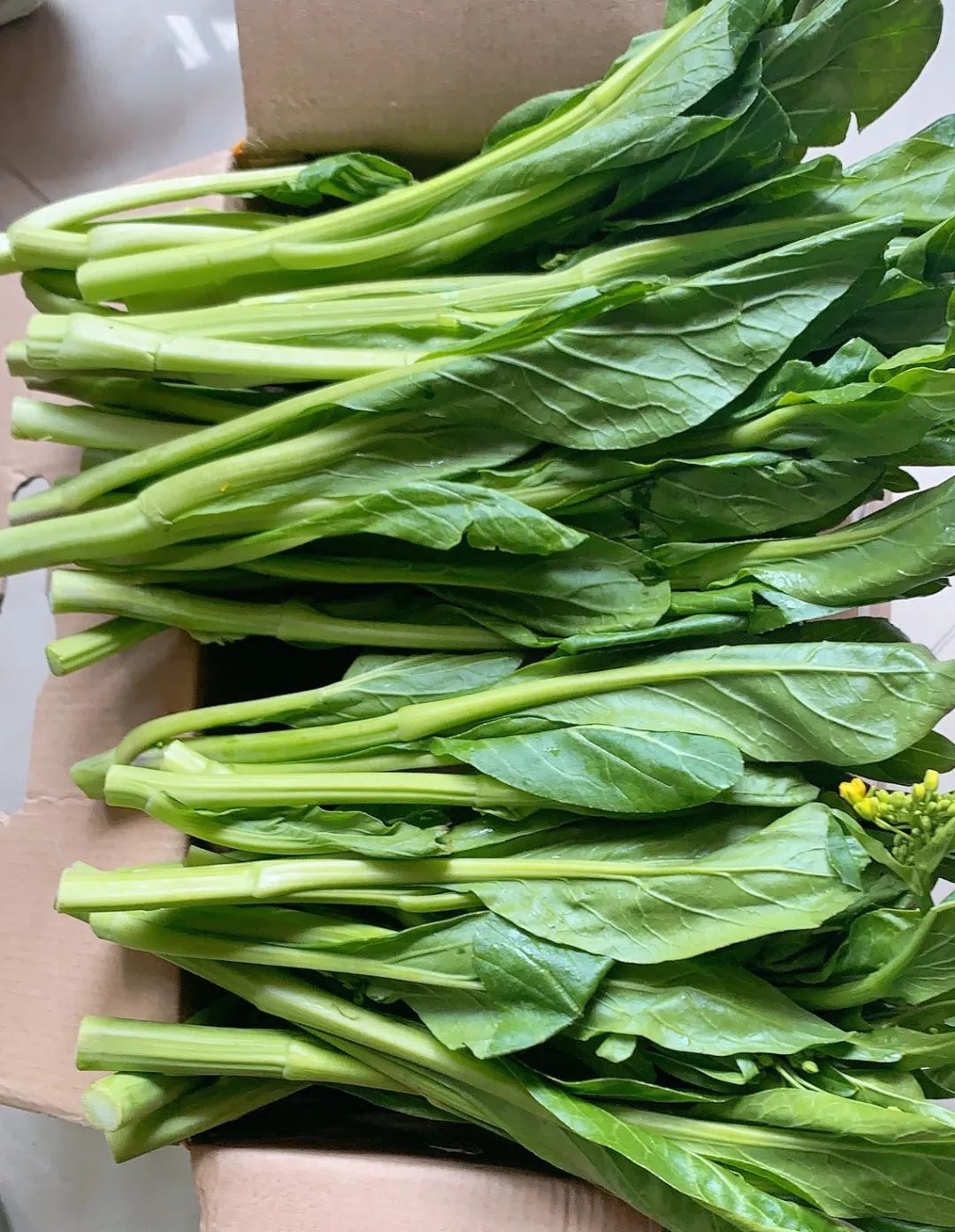 抗"疫"当前,你宅我送!"迟菜心"免费送上门已上线啦~不下单就真的迟了