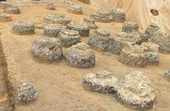 瓮棺群 云南省文物考古研究所 供图