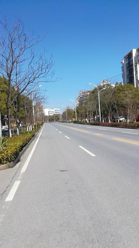 报警、“封村”、募捐:一名黄冈村医的“战疫”