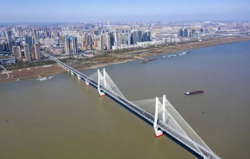 专访丨陈杰:重大疫情防控给城市发展敲响了警钟