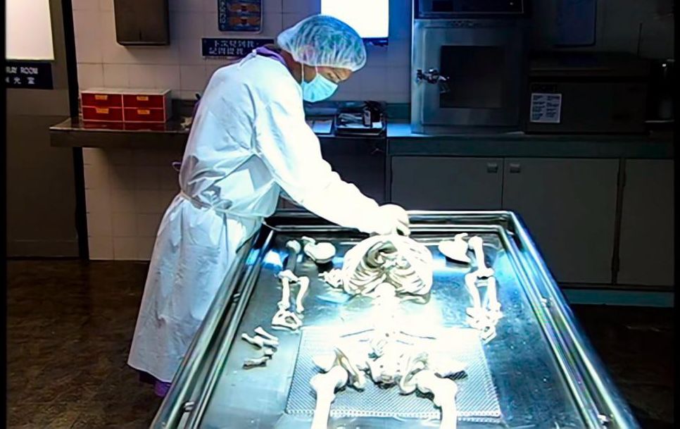 并落实犯罪现场的情景,让观众产生推理并目睹案件发生的现场感