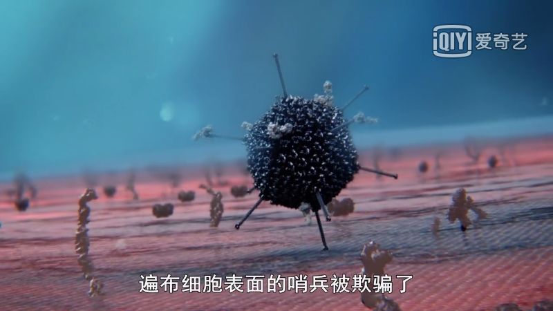 携带"钥匙"的腺病毒轻而易举地让细胞将其认定为营养物质,打开大门.