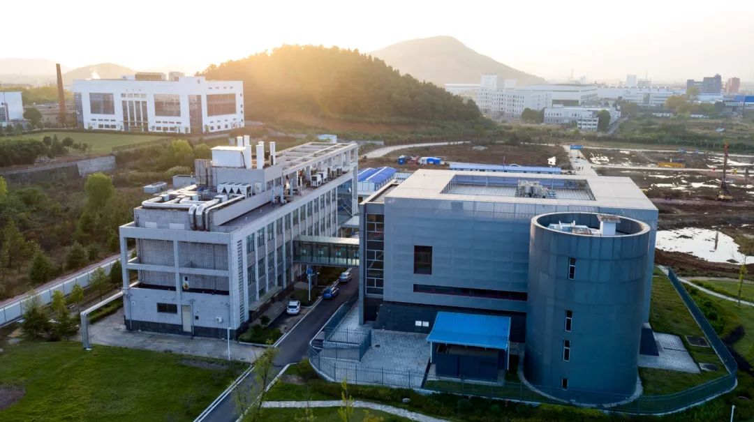 漩涡 中的武汉病毒研究所 疫情 新浪财经 新浪网