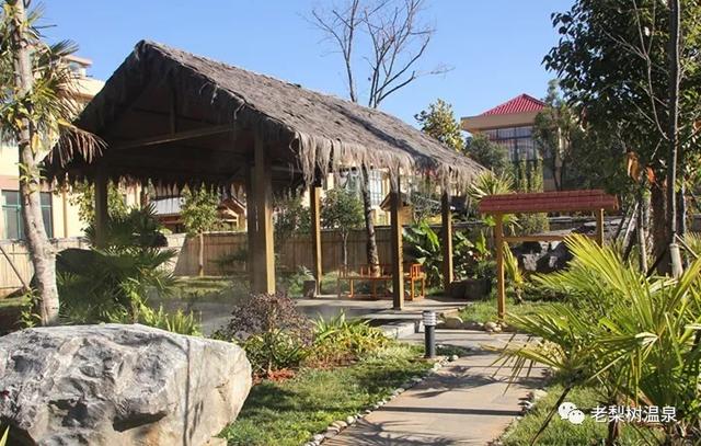 致敬逆行者 云南老梨树温泉向全国医务工作者全年免费开放