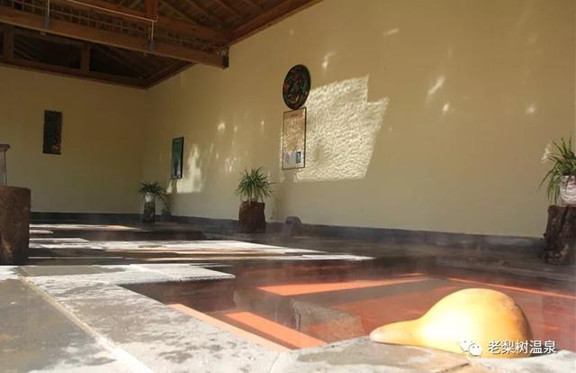 致敬逆行者 云南老梨树温泉向全国医务工作者全年免费开放