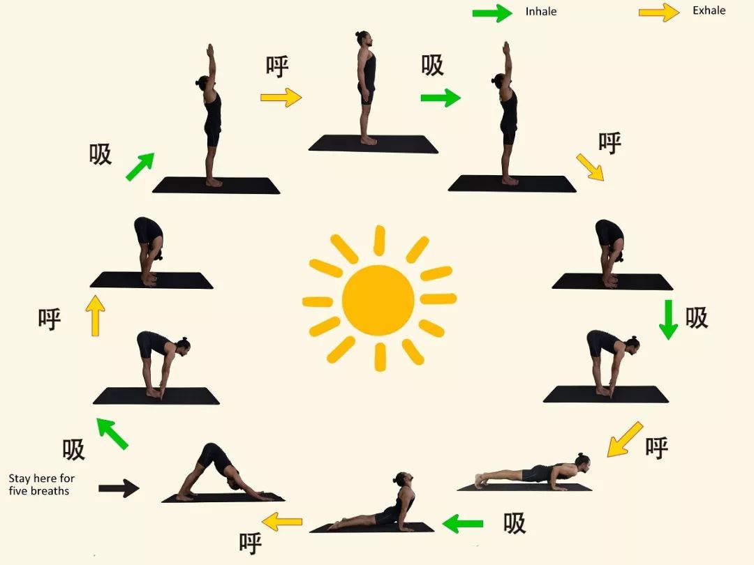 配合呼吸的完整版本,一个动作一个呼吸,山式开始和结束作为两个动作