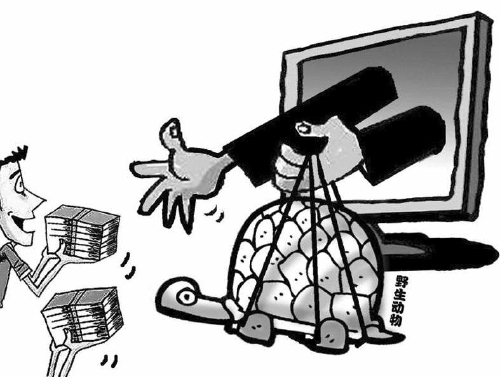 宠物店暗地交易野生动物被查黑市量大水深各种乱象