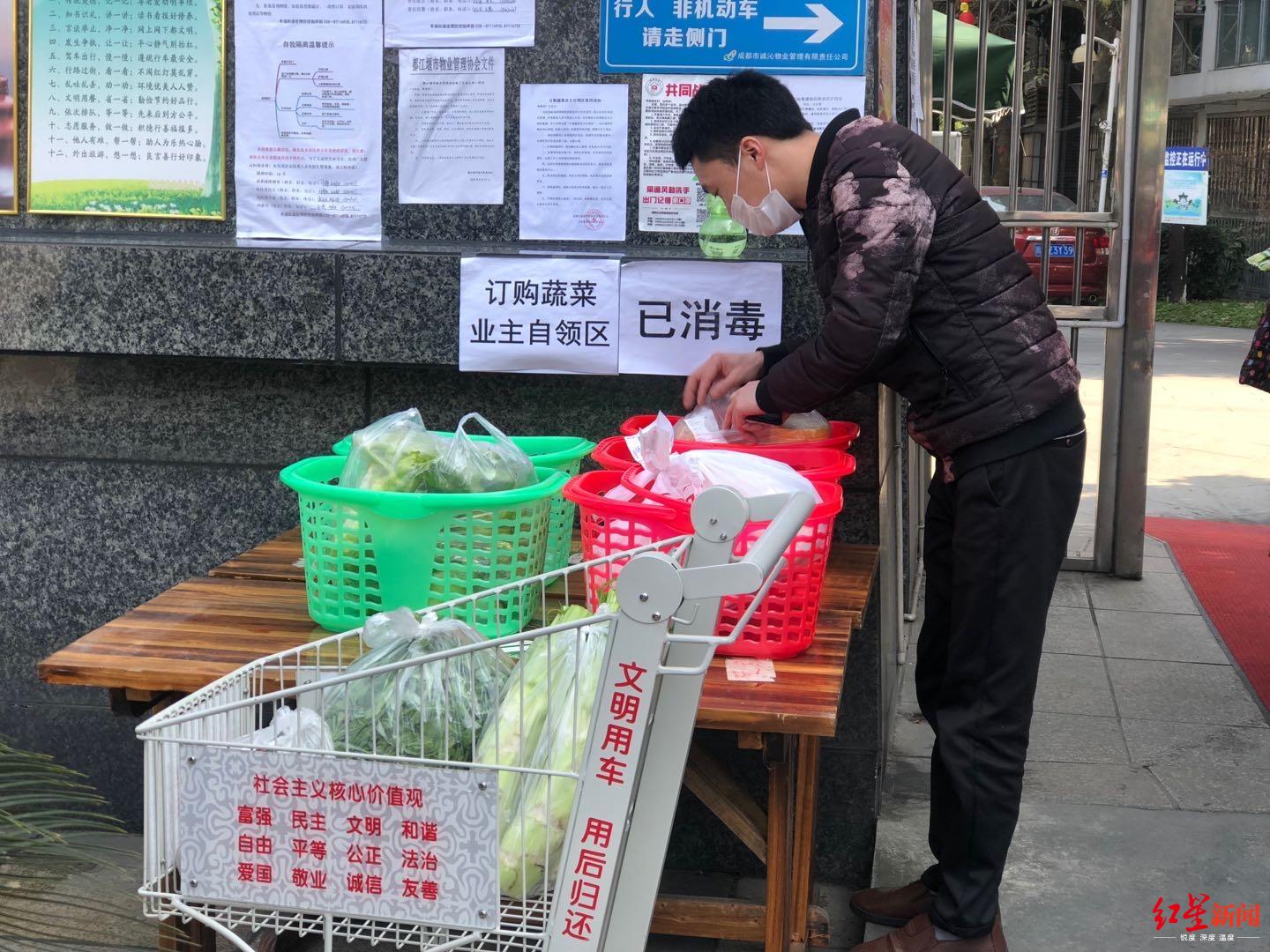 四川都江堰：政府搭建购物平台 已卖出滞销蔬菜百多万元