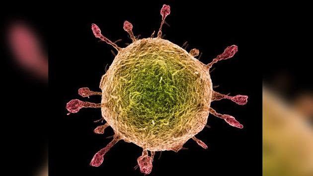 新冠病毒和流感病毒有什么不同