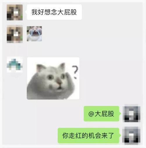 为什么智障mur猫 会成为新一代憨王表情包 迫真空手部 新浪新闻