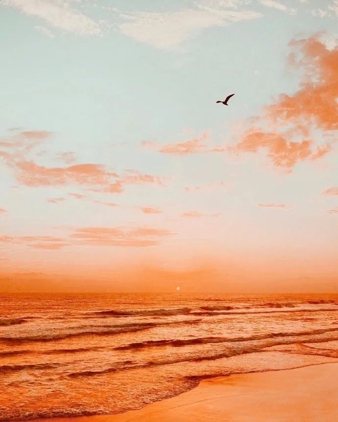 好温柔的橘子味晚霞!这也太像画境了吧!