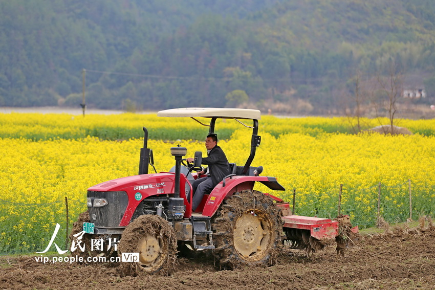 江西万安:春日时节耕种忙