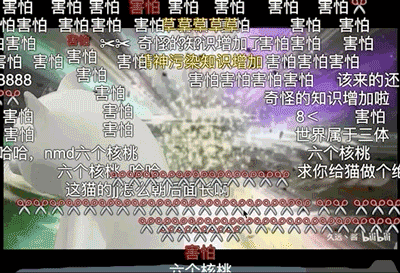 爆红mur猫表情竟来自gv 我搜遍全网找到了资源 鬼畜 模型 新浪新闻