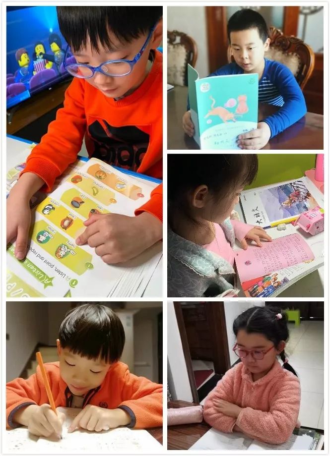 板厂小学师生们在行动 自主学习收获多 同心协力抗疫情 疫情 新冠肺炎 新浪新闻