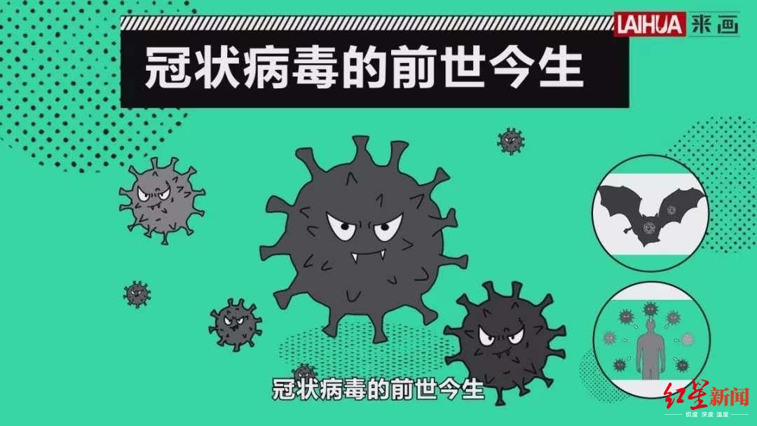 讲述冠状病毒前世今生,了解它才能更好地防范它!