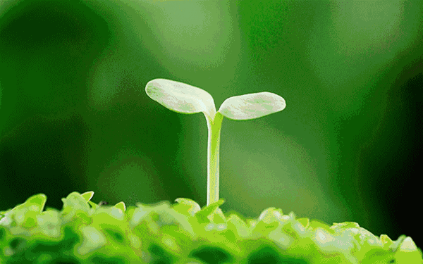 600_375gif 动态图 动图