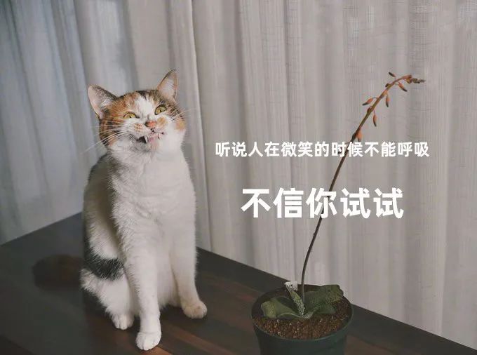 不纯洁心灵逐梦成人演艺圈