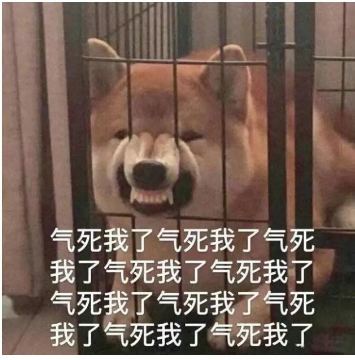 2020年初老师疯没疯我不知道这届当妈的已经疯了