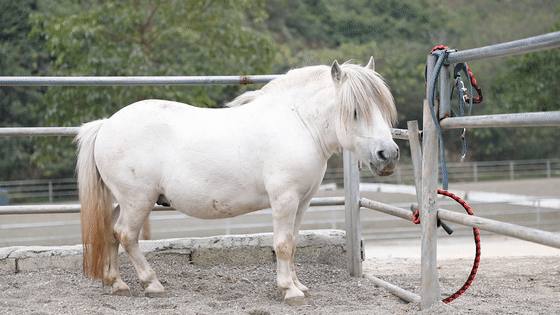 560_315gif 动态图 动图