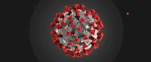 新冠病毒肺炎引发免疫系统的风暴,很多时候不是病毒把人杀死的,是