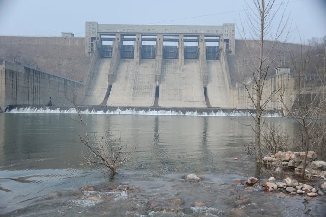 值得关注的新闻大事件：2025年武汉放水论坛最新动态与发展趋势全解析