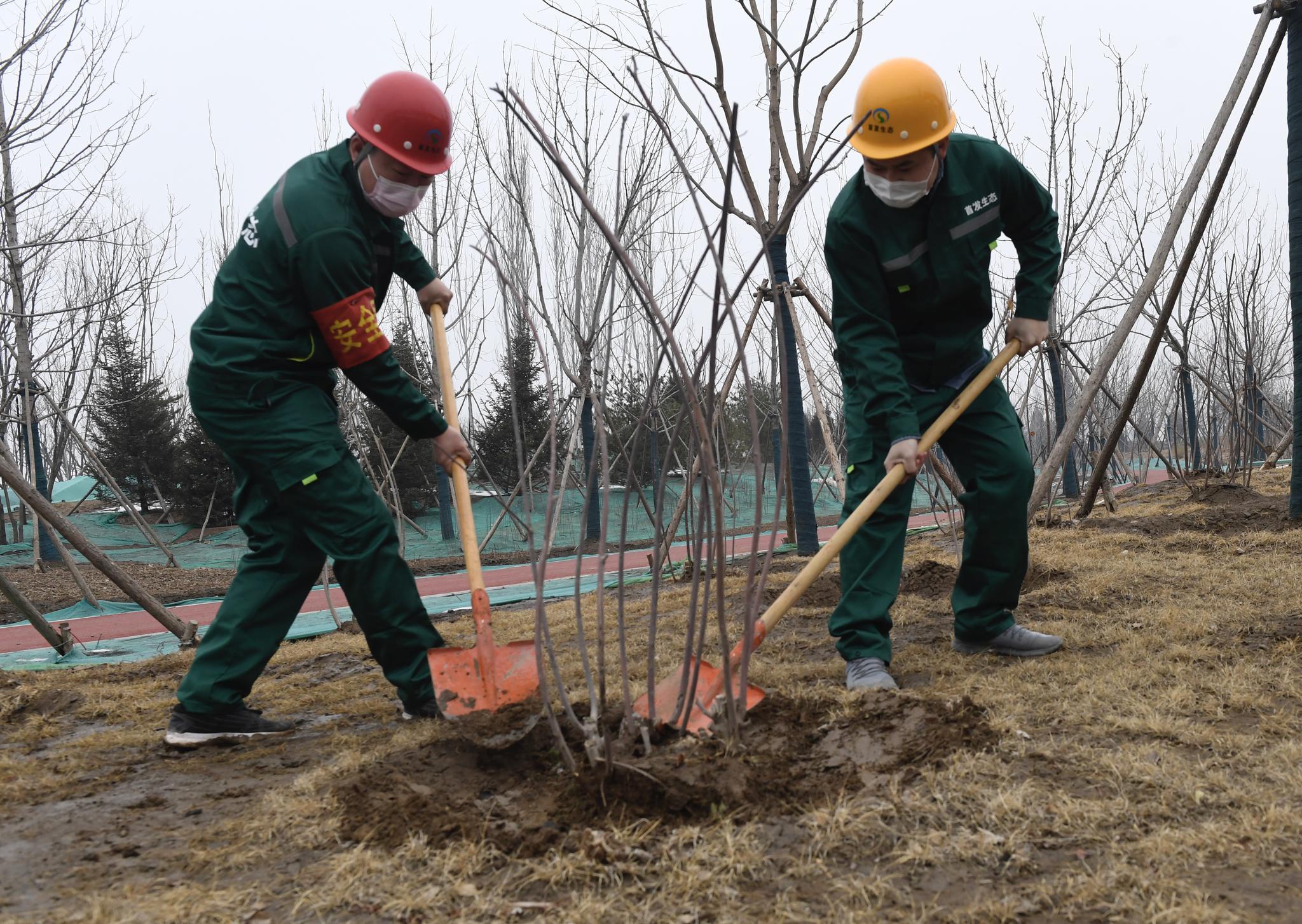 园林工人正在"绿心"进行绿化养护.