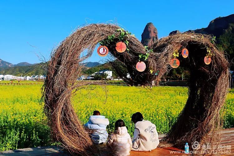 油菜花开，你和石城的春天有个约会！|石城_新浪新闻