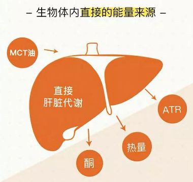 50岁冻龄女神珍妮弗，身材还像18岁少女，瘦身秘诀被扒，购物车全是澳洲椰子油，便宜又瘦身，两罐只要138元