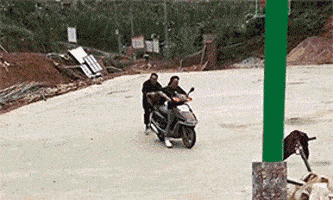 搞笑GIF趣图:媳妇第一次学骑电动车，拉都拉不住，结果就撞上了！