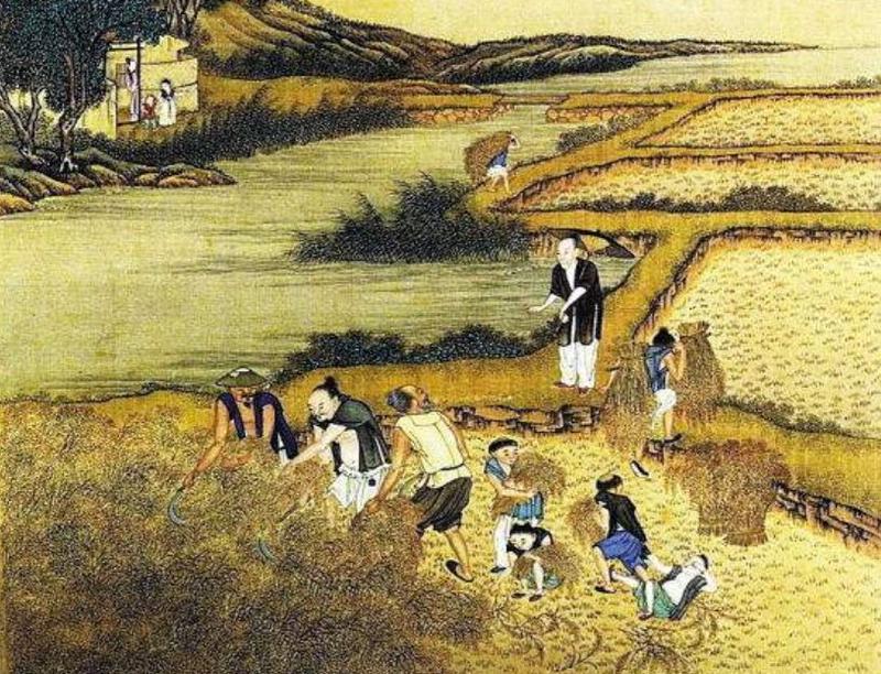 设计分享 | 生长在布鲁克林的智能垂直农场"树"