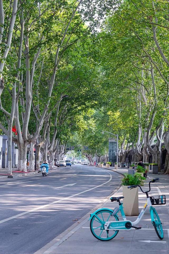 想要了解南京的最佳方式,大概是用脚丈量每一条街道