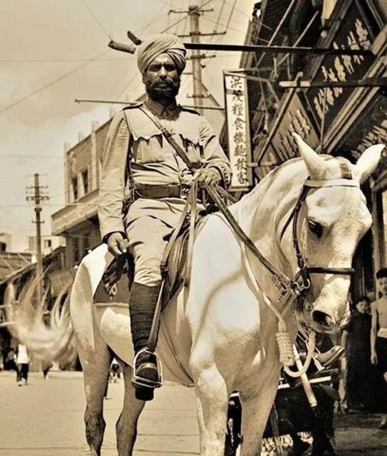 1910年的鼠疫风暴::一个上海车夫的防疫故事