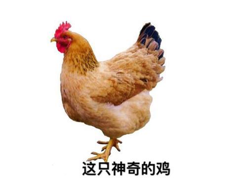 为了抢到800块一个的激活码,玩家疯狂注册10账号,结局悲催了