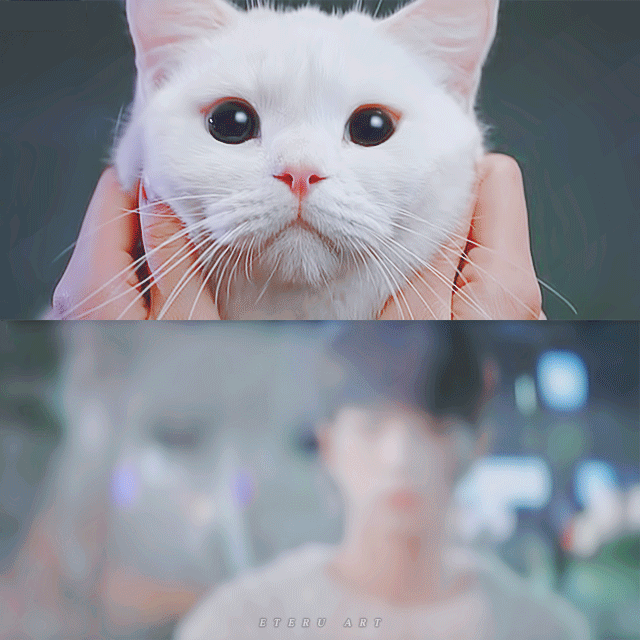 丁海寅化身霸总,3月韩剧简直是神仙打架!