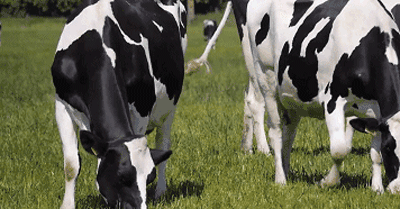 400_209gif 动态图 动图