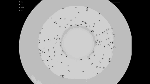 图片来源：https://youtu.be/DOAtAKTJhTY