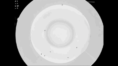 图片来源：https://youtu.be/DOAtAKTJhTY