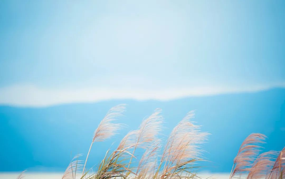 人有贵气,风度自来