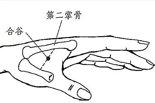 它是个万能穴退烧强肺不知道的就太可惜了