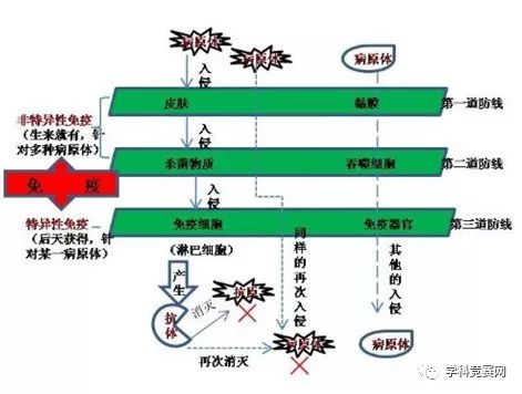 热门考点 第一时间总结新型病毒高考考点发给学生 衡水中学这波操作其他中学应该学学 附考点 Rna 试剂盒 新浪新闻