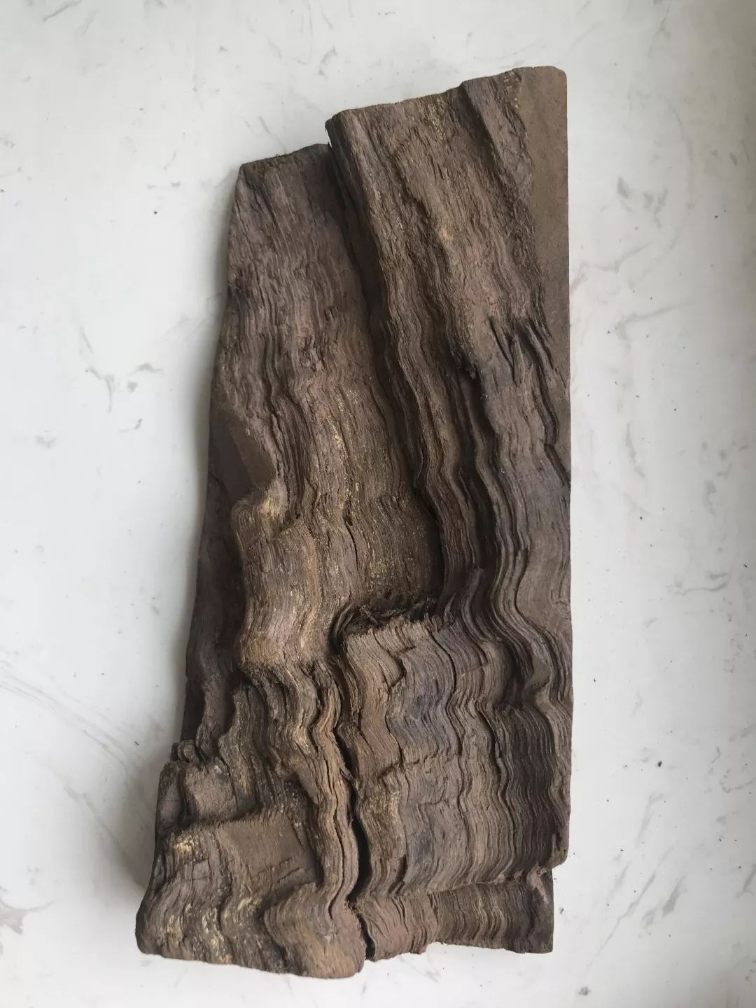 曾经天价的金丝楠木,做家具也就那样__财经头条