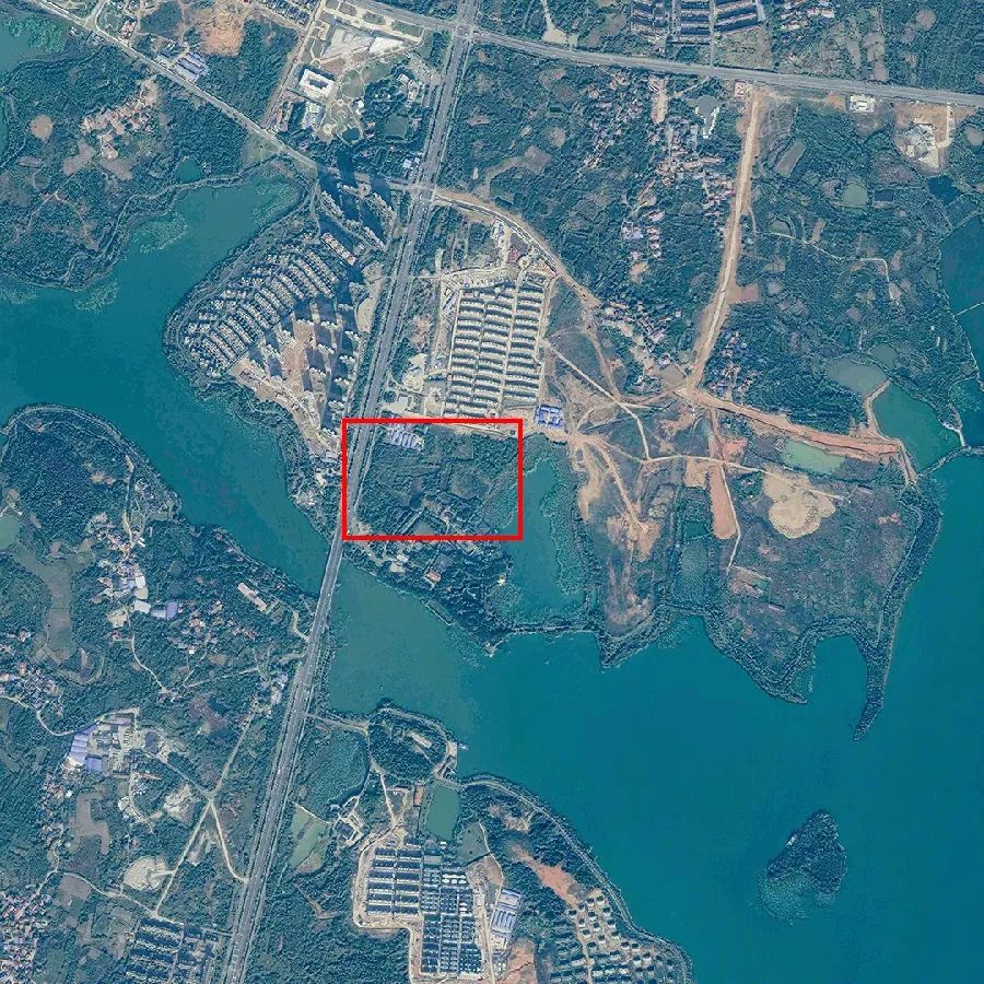 从太空看火神山,雷神山的建设速度