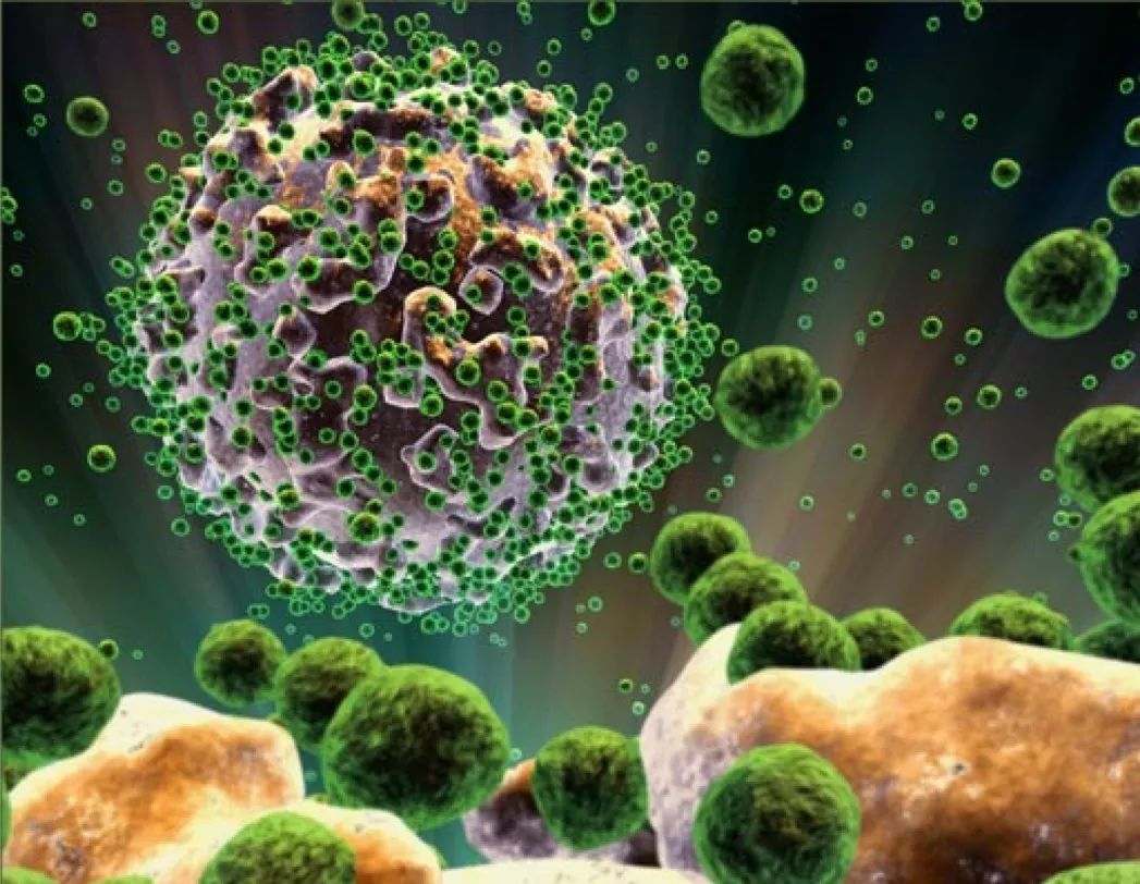 传染病为何多发于城市?...