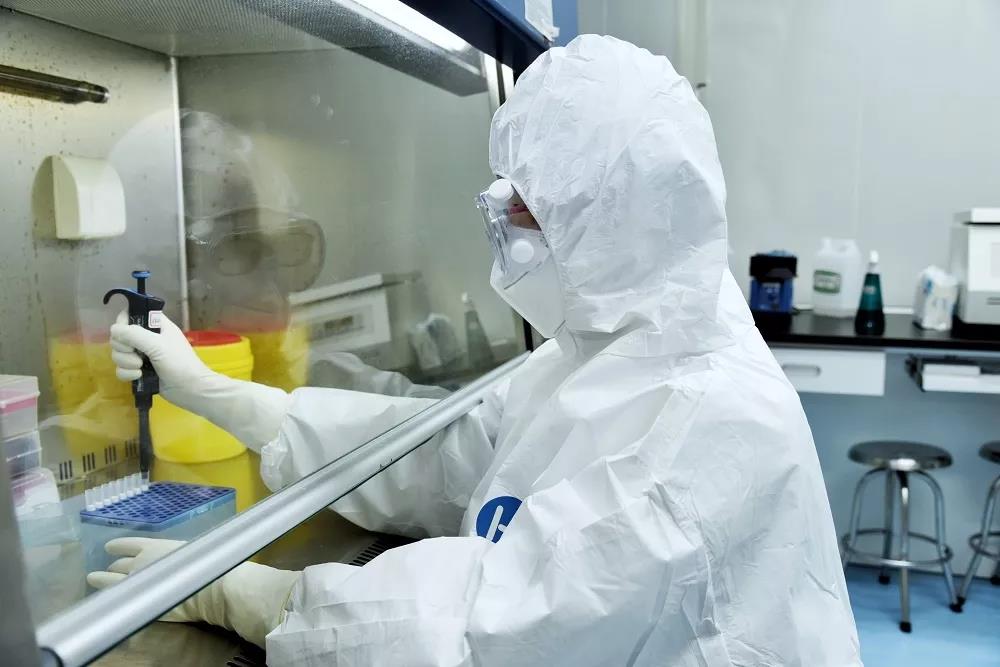 实验室的工作人员正在进行核酸检测。